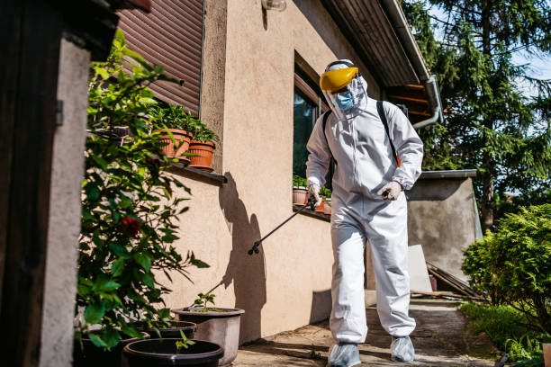 Best Pest Control Near Me  in Elgin, OK