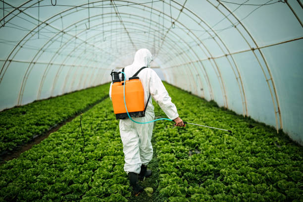Best Commercial Pest Control Services  in Elgin, OK
