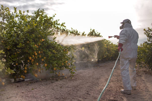 Best Pest Removal Services  in Elgin, OK