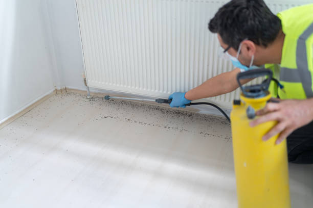 Pest Control Cost in Elgin, OK
